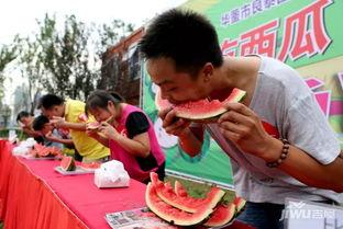 每日大赛吃瓜网在线观看,精彩赛事,一键在线观看